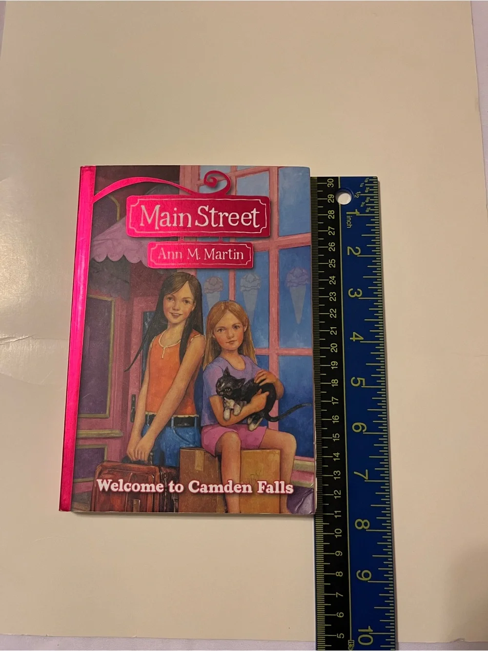 Main Street Welcome to Camden Falls Book Ann M Martin